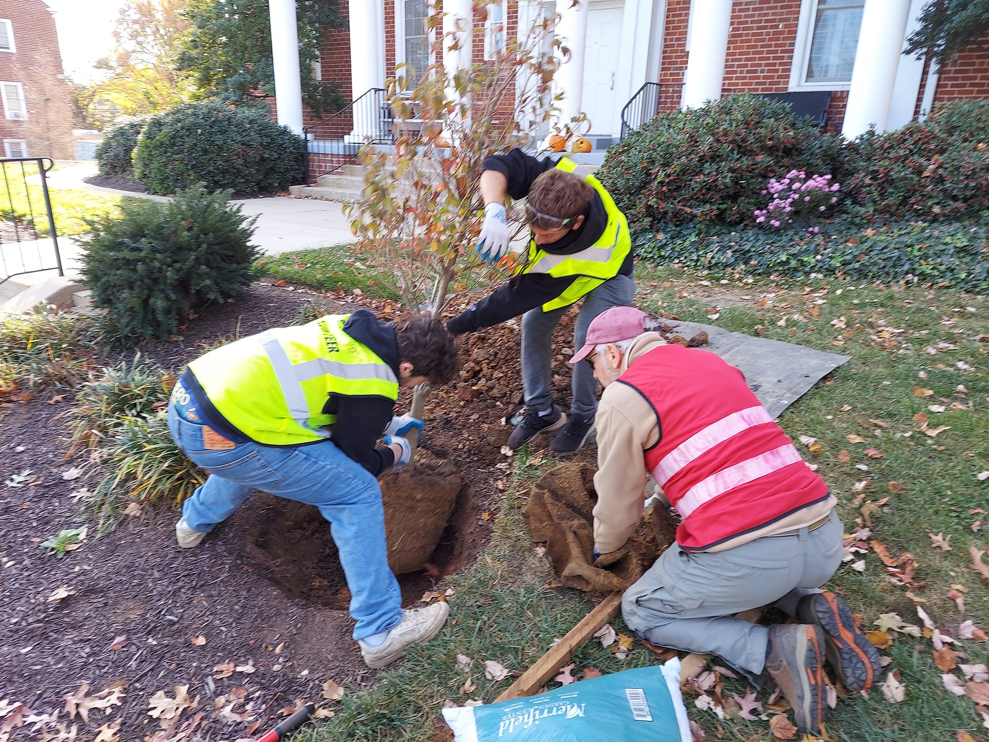 Tree Planting Nov 2, 2024