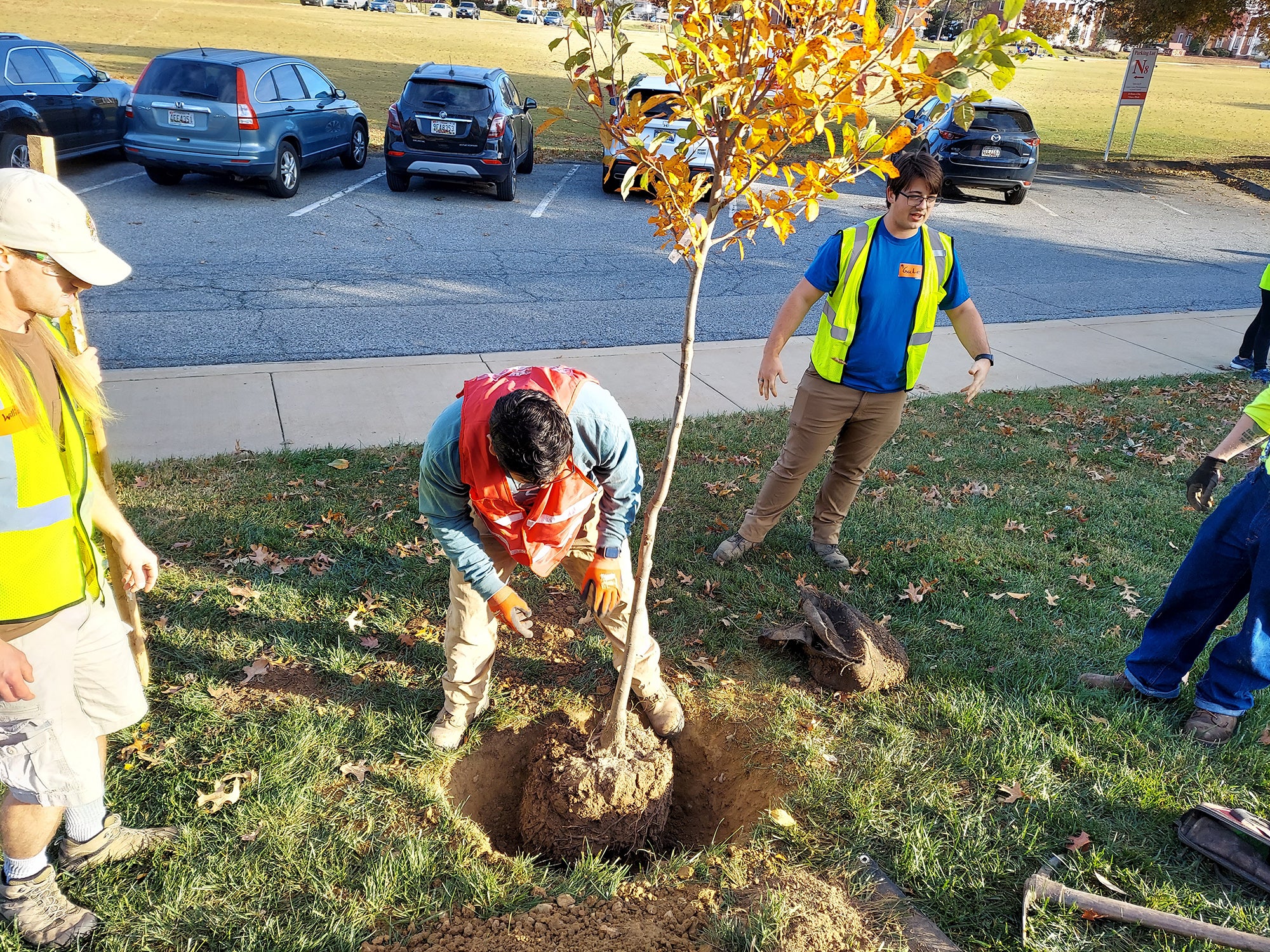 Tree Planting Nov 2, 2024