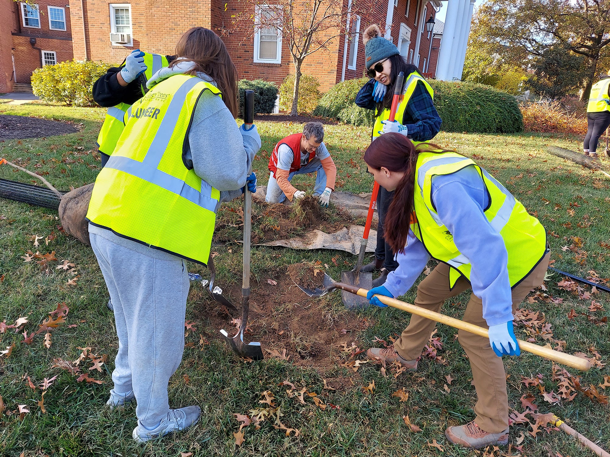 Tree Planting Nov 2, 2024