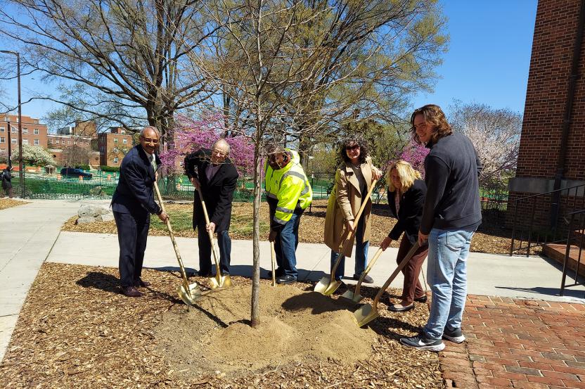 Arbor Day
