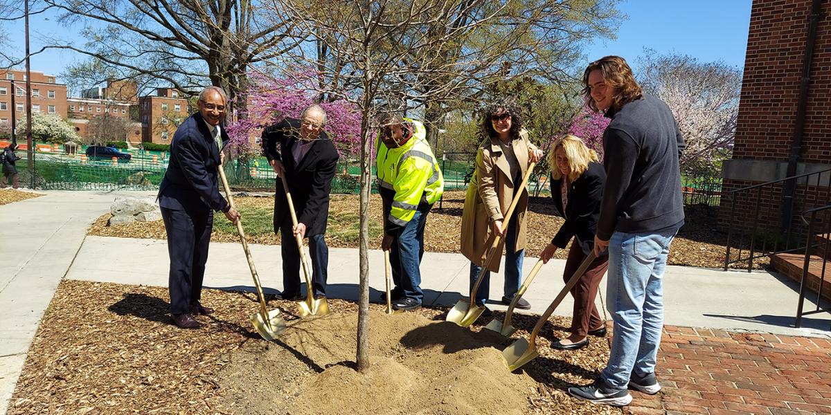Arbor Day 25