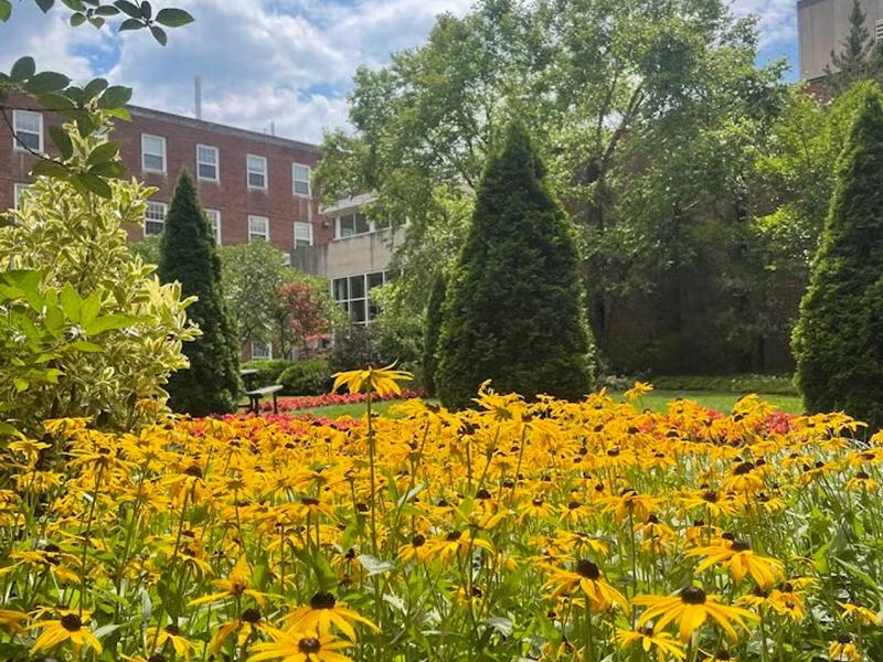 Chemistry Courtyard