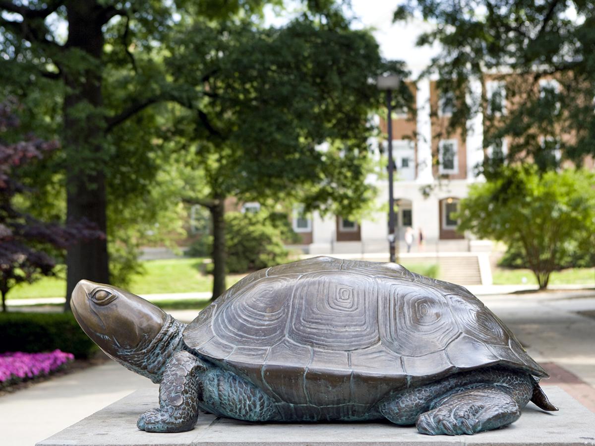 turtle statue outdoors on campus