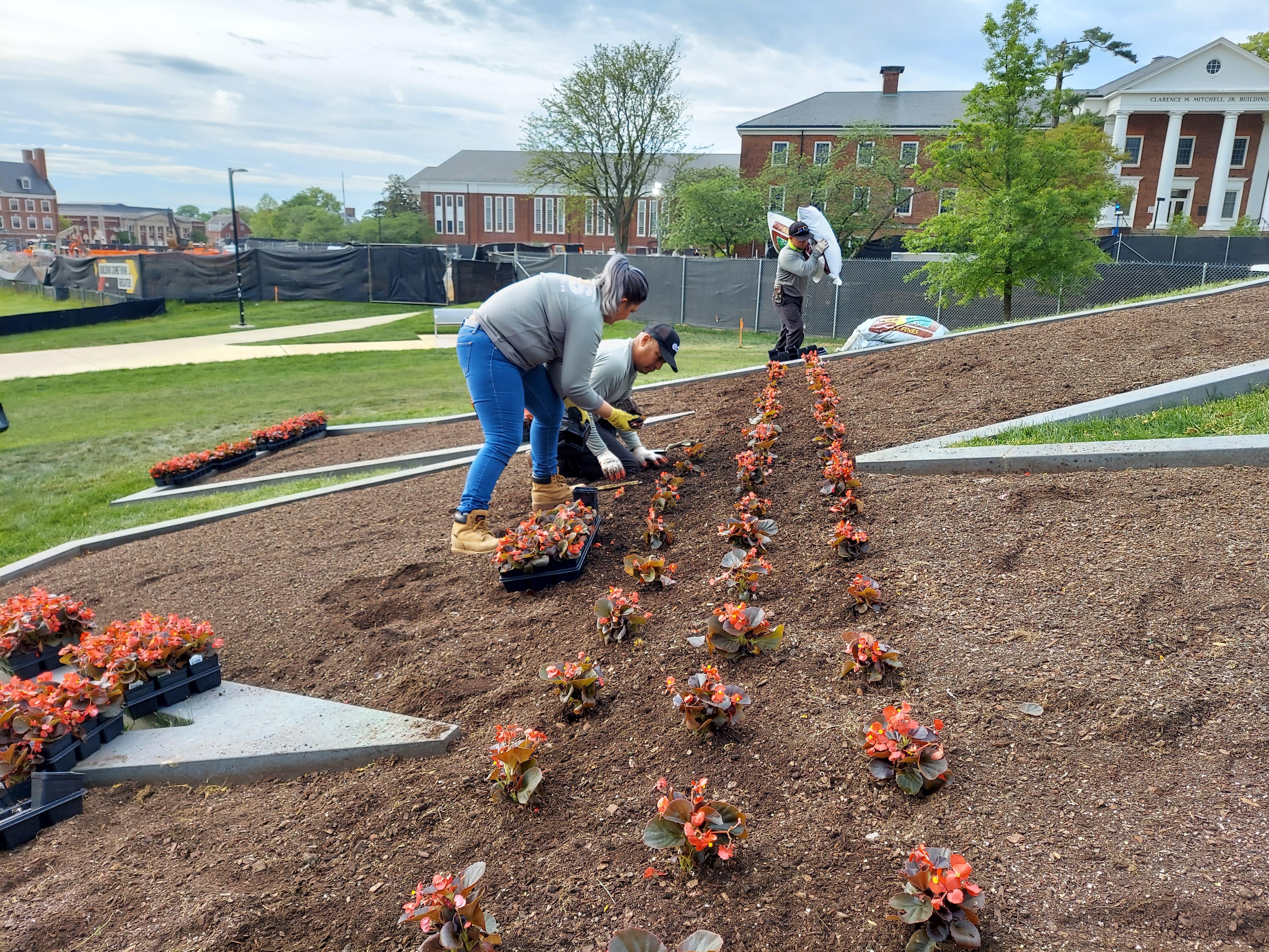 Planting