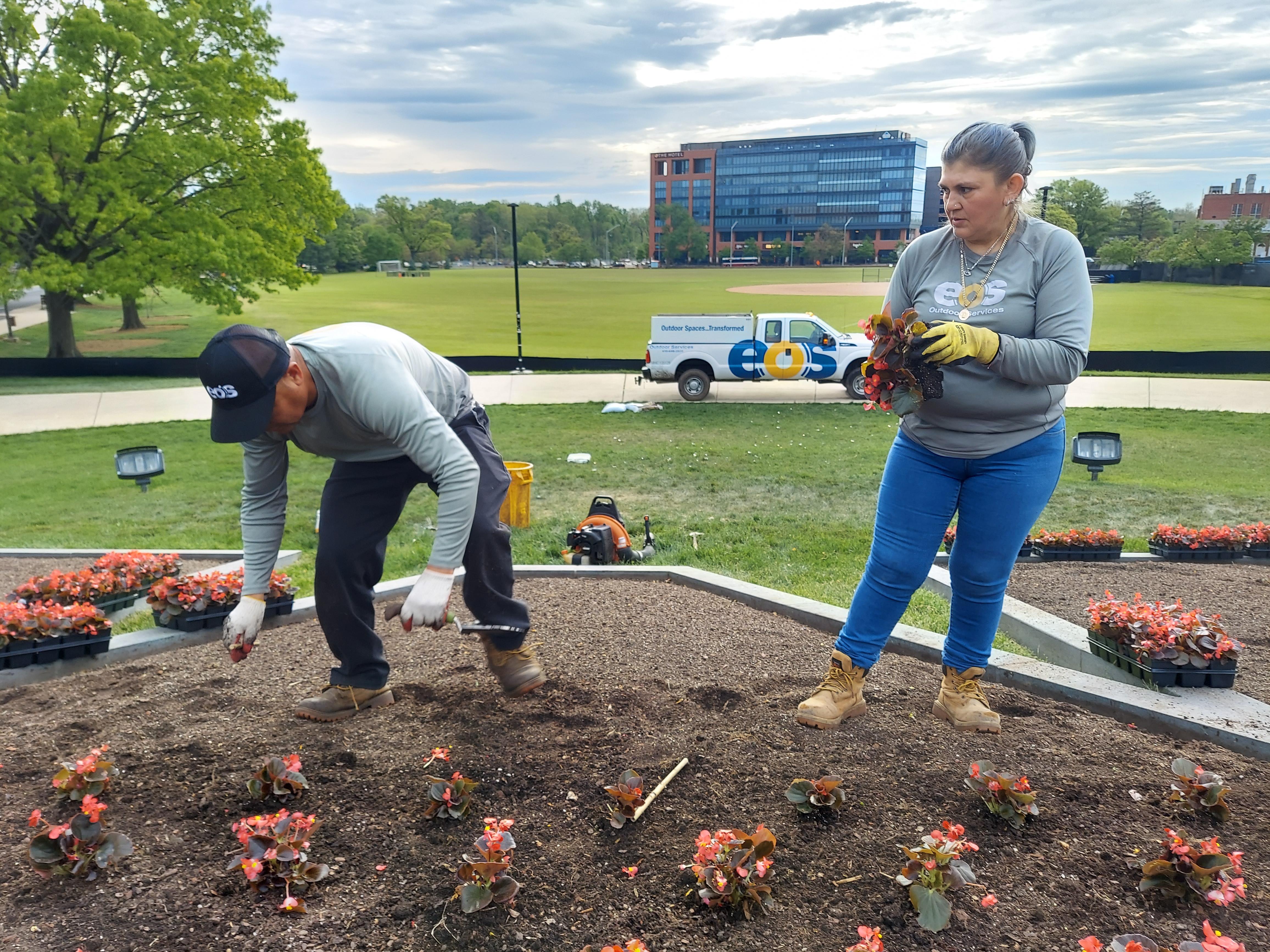 Planting