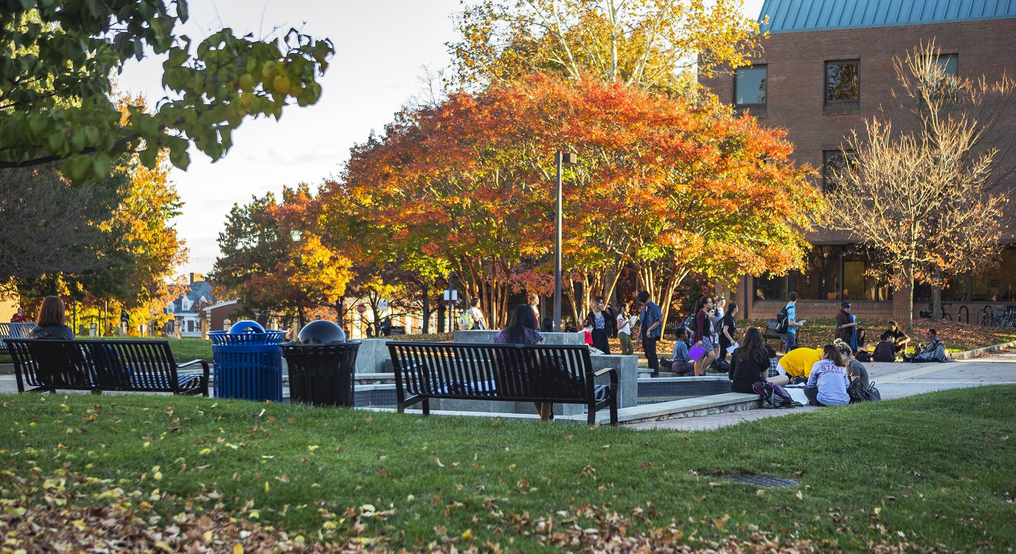 Campus in autumn