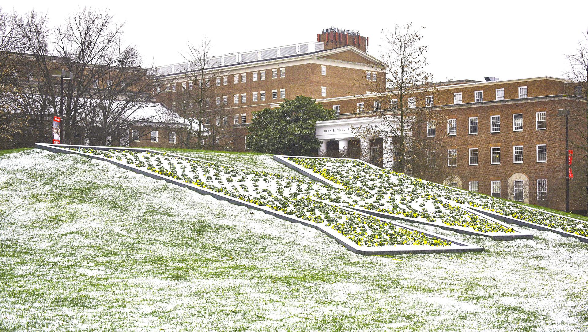 Campus Snow