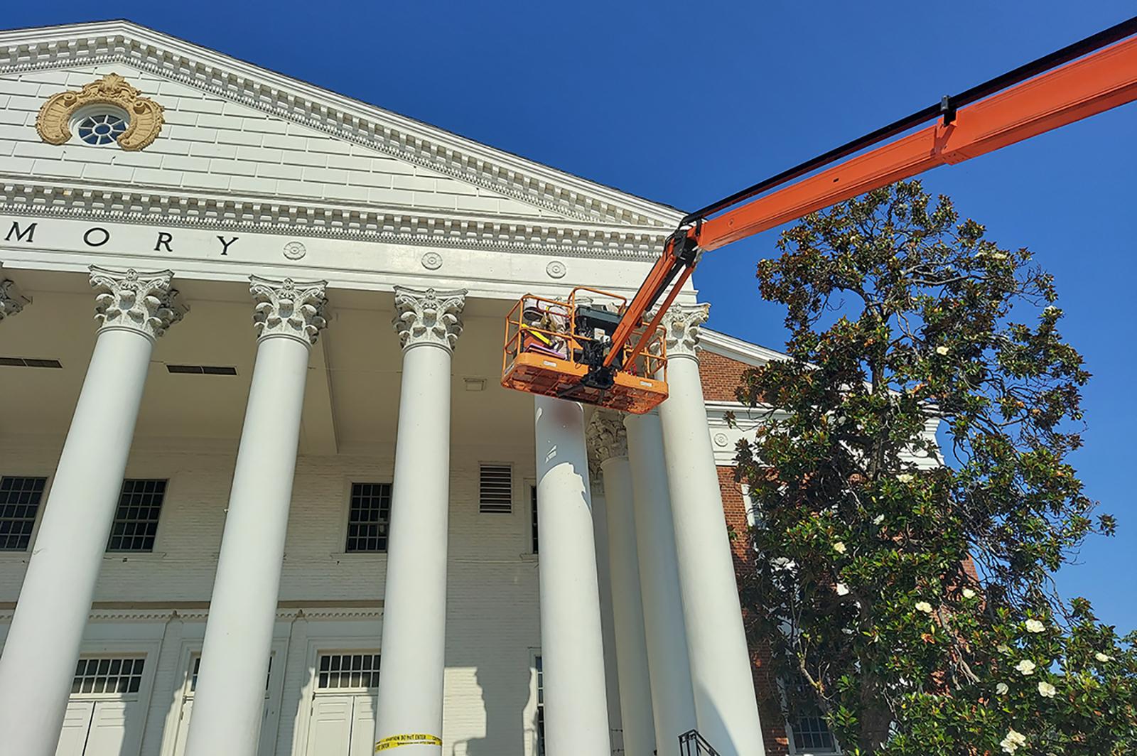 Bee removal