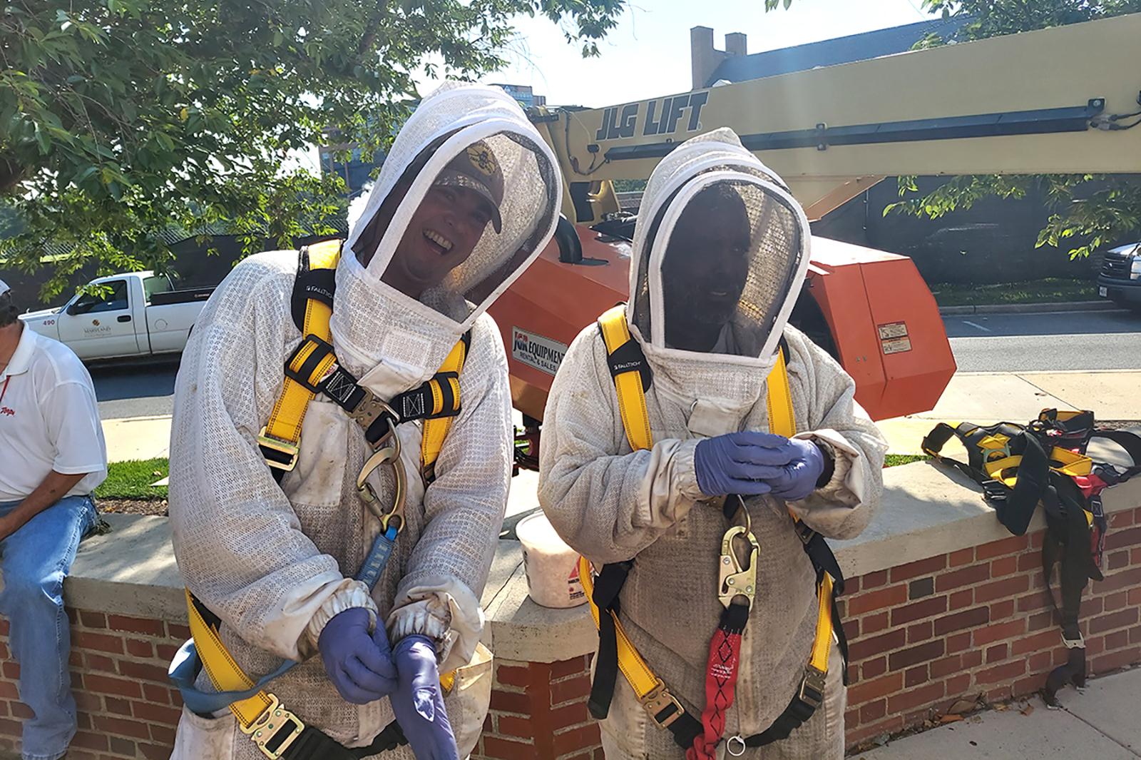 Bee removal