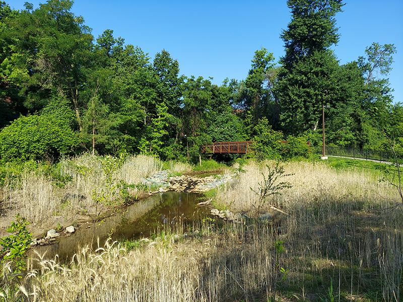 Creek