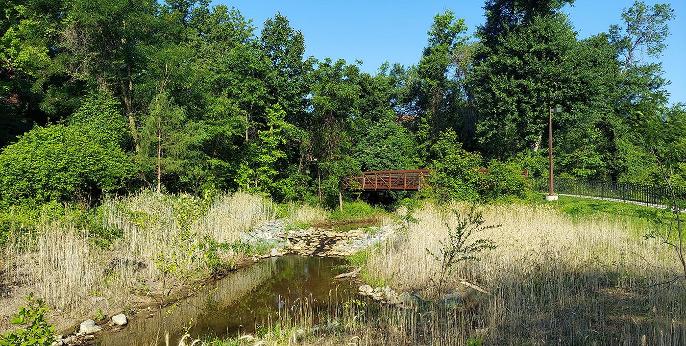 Creek