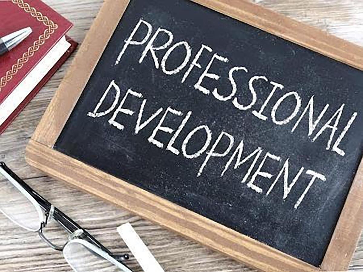 Professional development