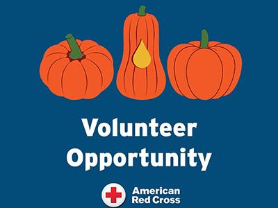 volunteer opportunity