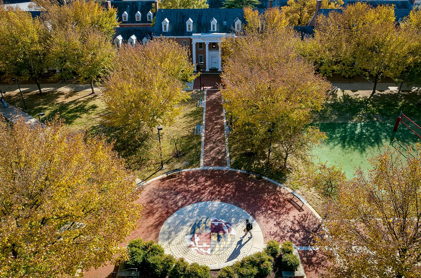 autumn leaves and trees
