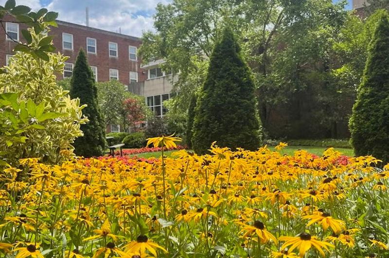 Chemistry Courtyard