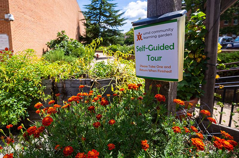 Garden tour