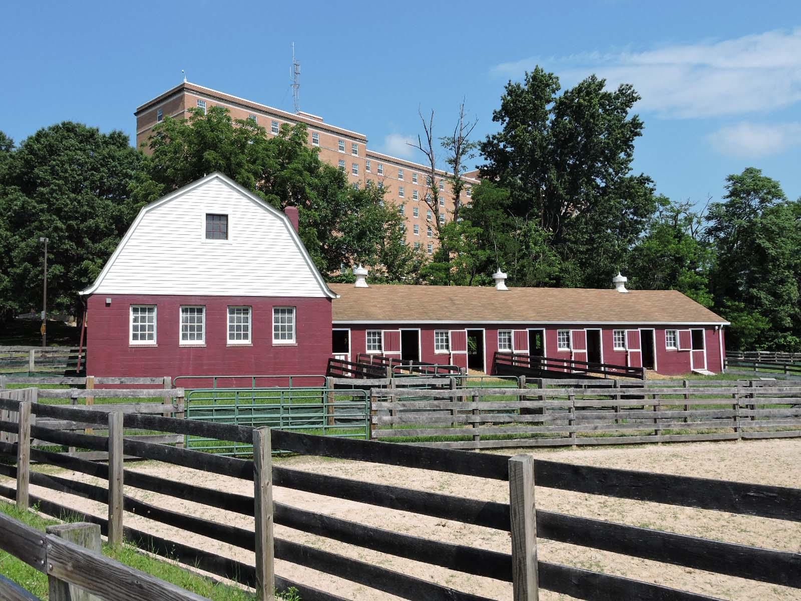SHEEP BARN
